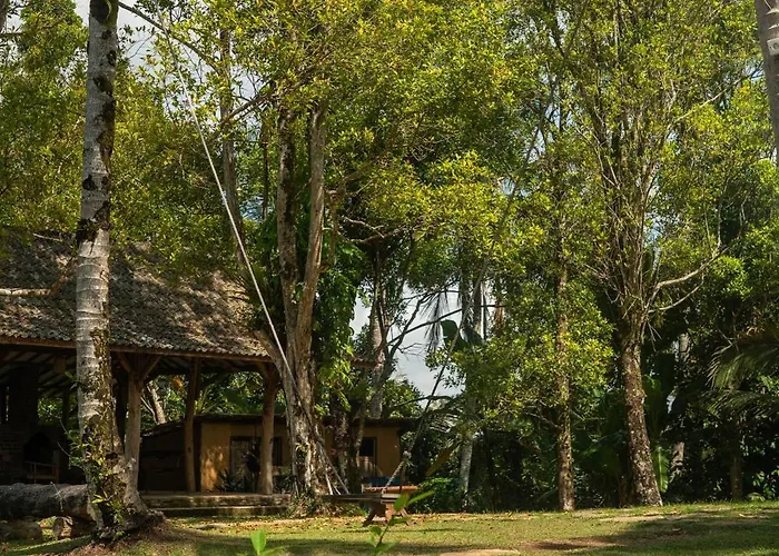 Jatiluwih Space & A Part Of Gong Jatiluwih
